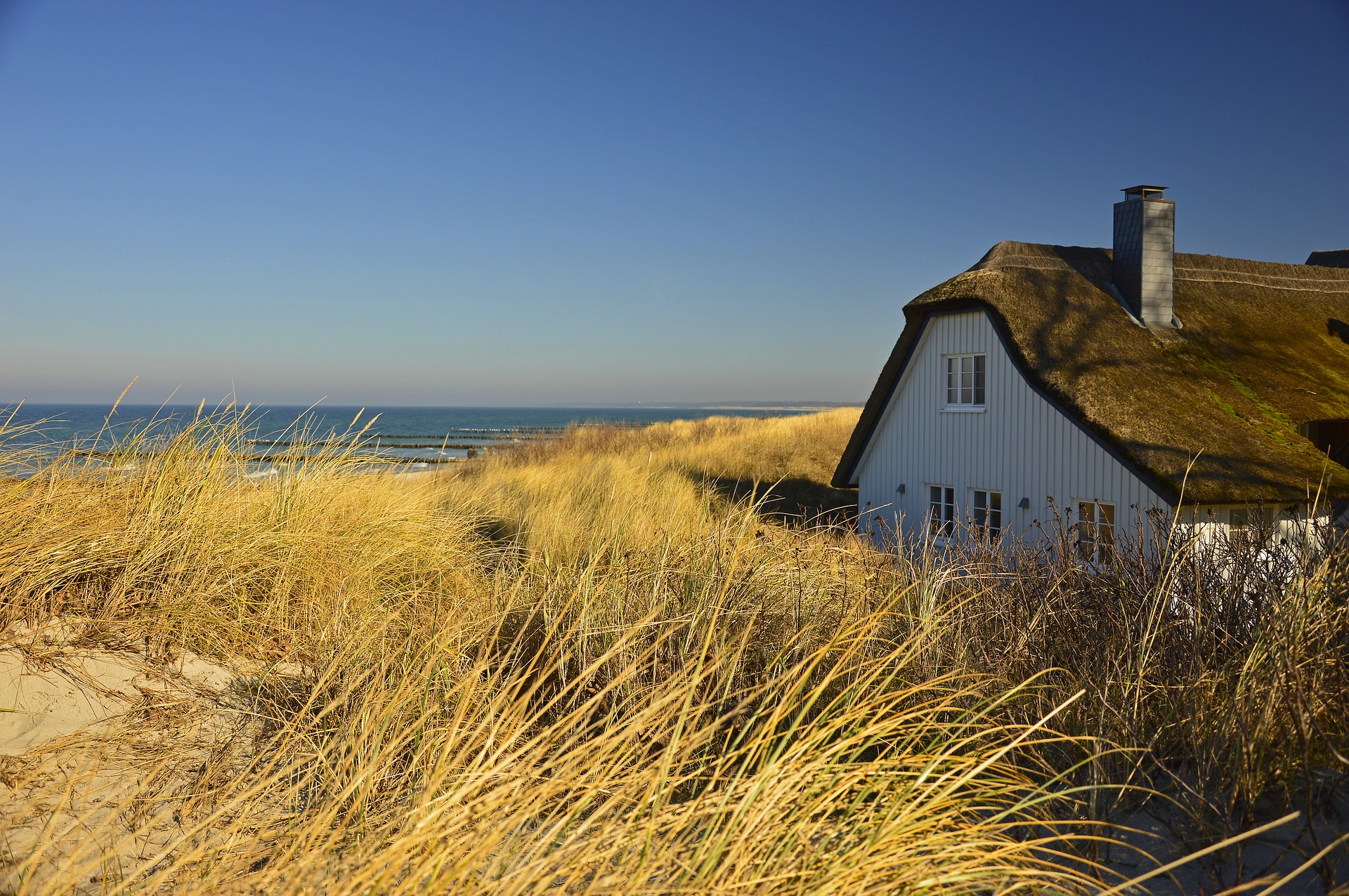 Background Image - House
